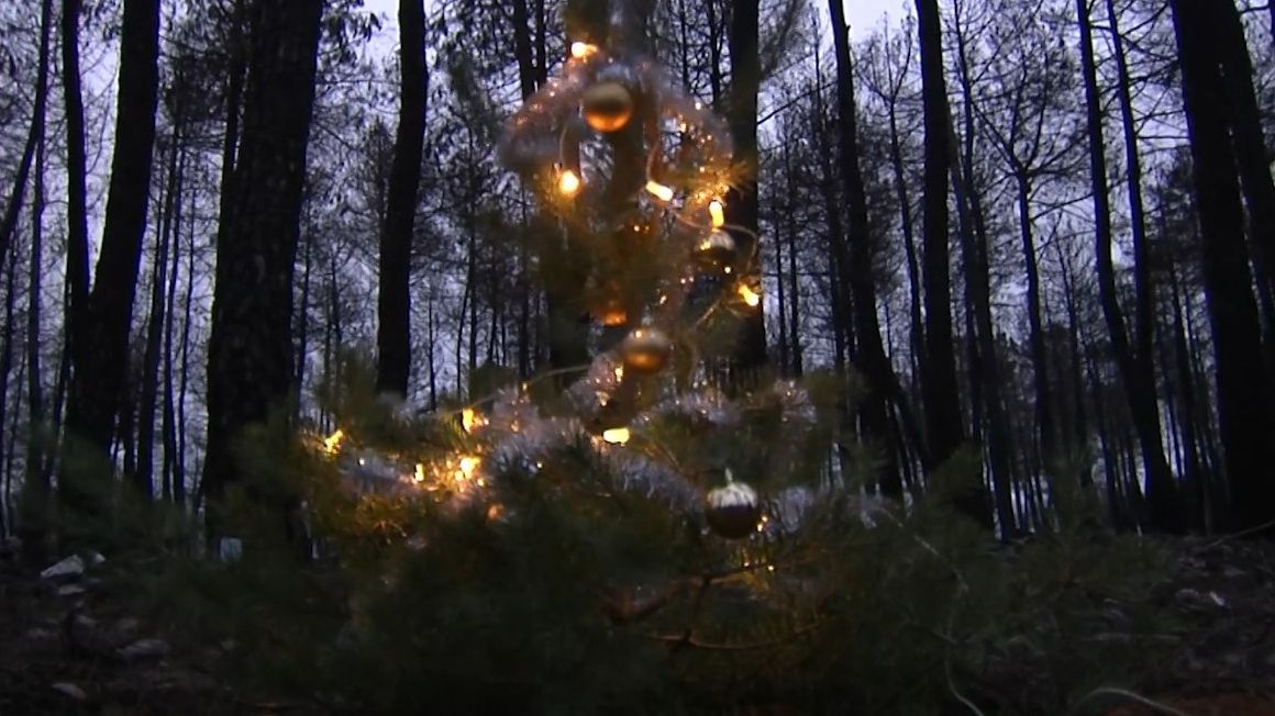 La Sierra de la Culebra pone luz a su Navidad más complicada