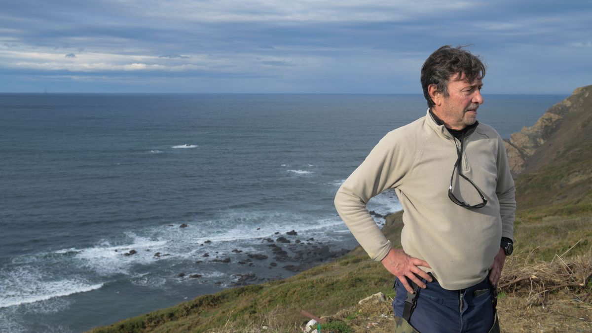 Los restos hallados en Cabo Peñas podrían haber llegado desde la zona de Asturias o de Galicia