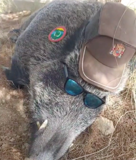 Captura de pantalla 2023 01 03 a las 13.28.18