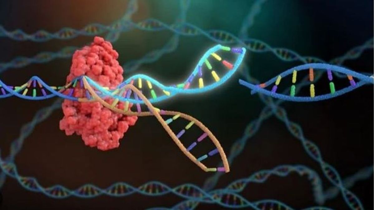 Editar el ADN con proteínas milenarias, un nuevo avance para curar enfermedades como el cáncer, ELA y la diabetes