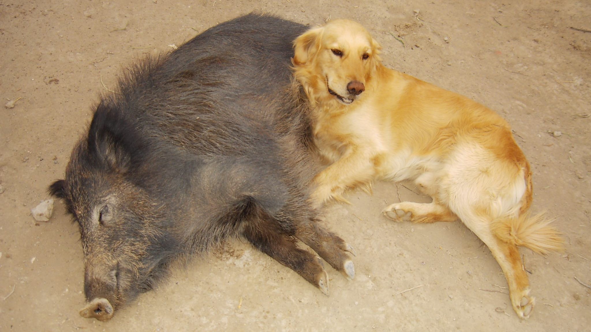 WhatsApp Image 2023 01 03 at 16.20.18