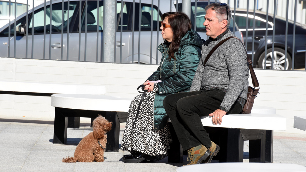 La perrita de Elena, Nora.