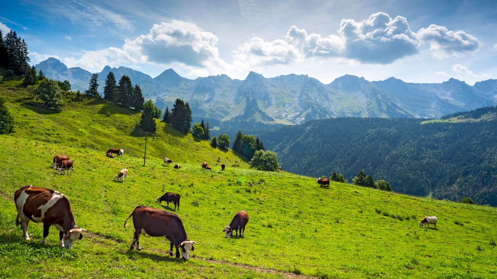 Sin nieve en los Alpes