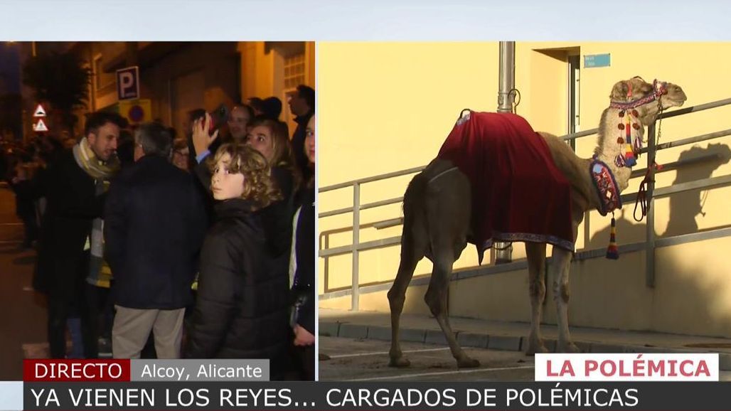 La recogida de firmas para que desaparezcan los animales de la Cabalgata de Alcoy
