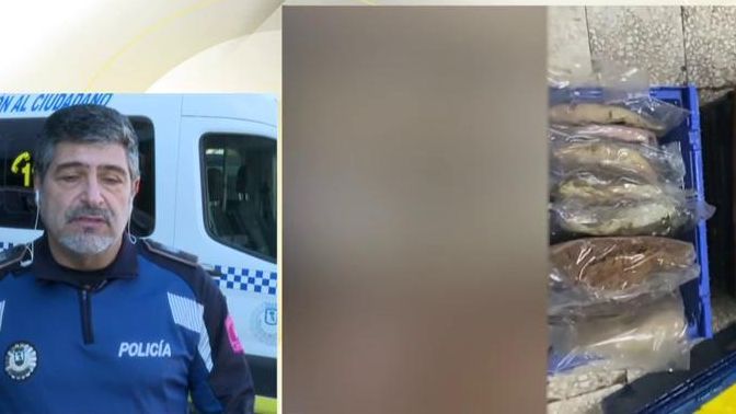 Horror en restaurantes de comida asiática: la cocina en el cuarto de baño y marisco podrido