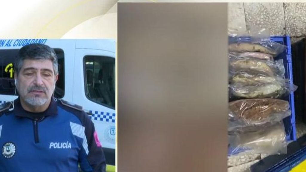 Horror en restaurantes de comida asiática: la cocina en el cuarto de baño y marisco podrido