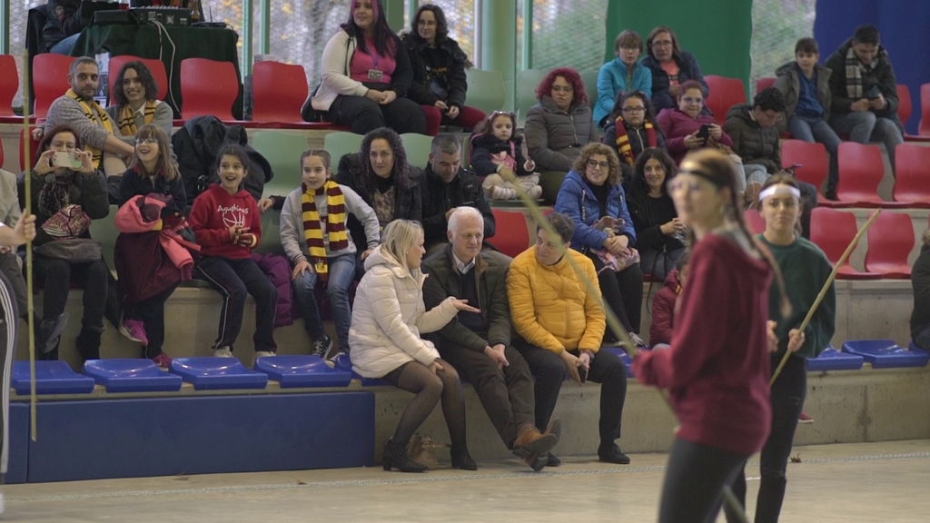 Partido de Quidditch