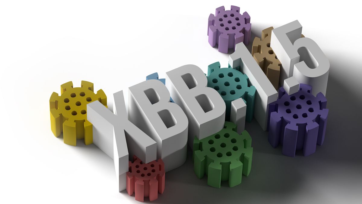 XBB.1.5