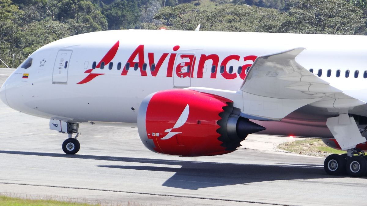 Un avión de la aerolínea colombiana Avianca, donde han encontrado a dos polizones muertos