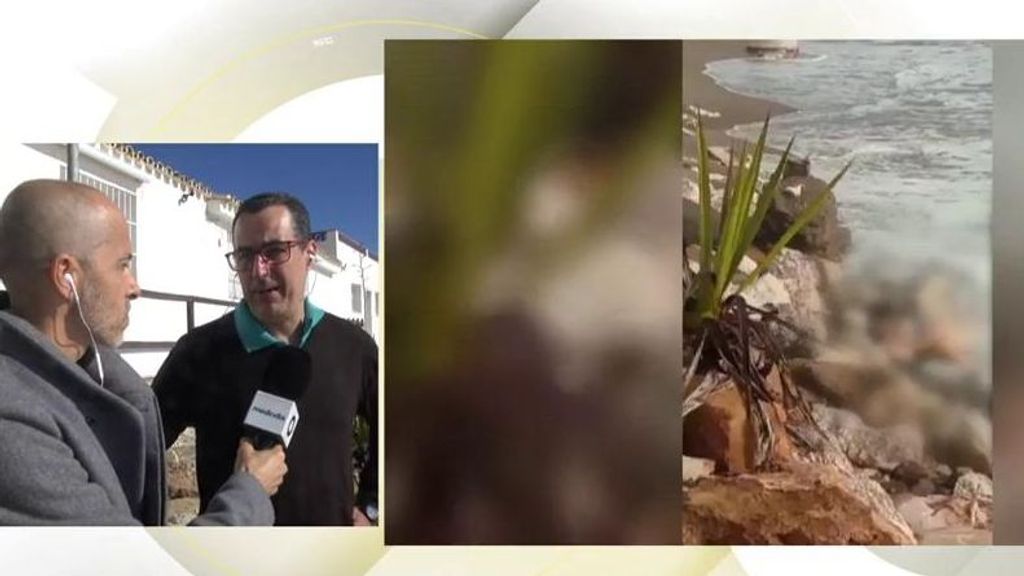 Encuentran el cadáver de una mujer sin cabeza ni manos en Marbella: "Al principio creíamos que era una muñeca"