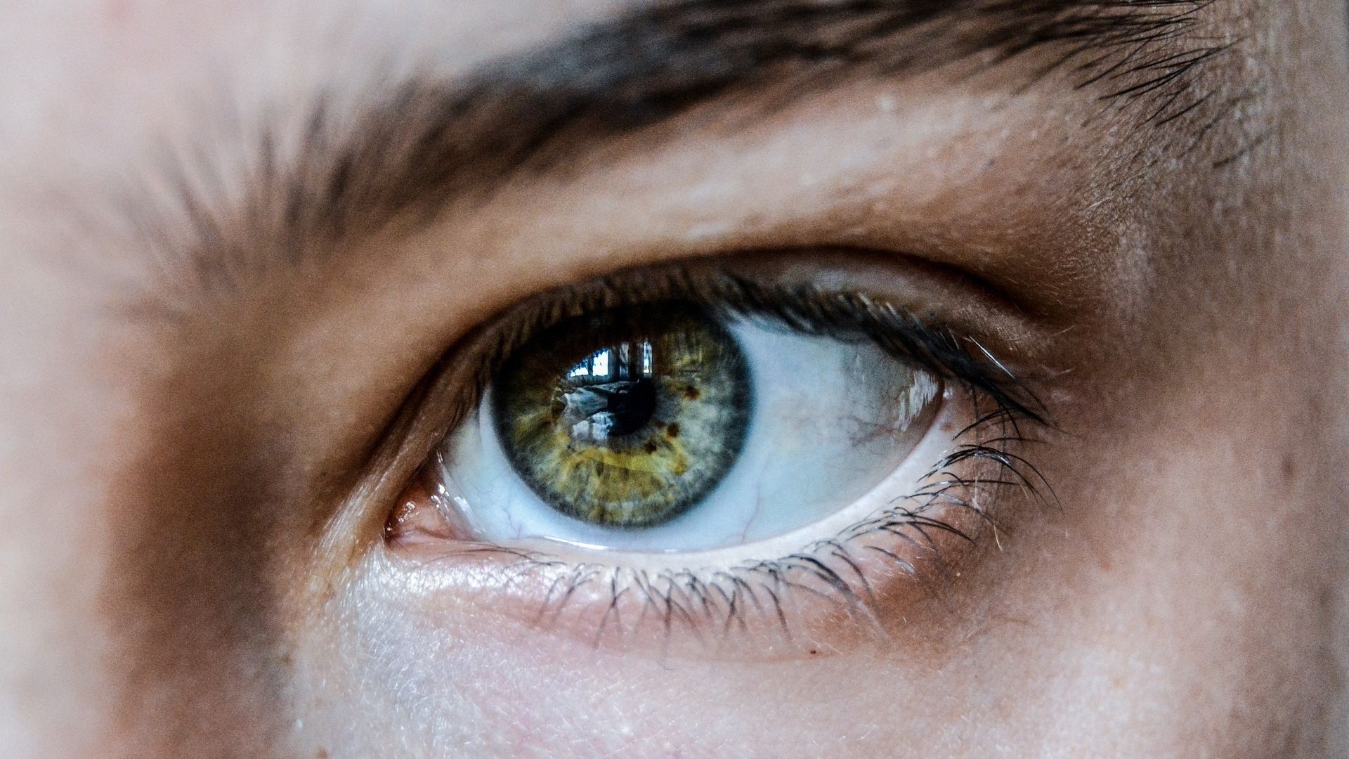 Białka ludzkich oczu są cechą ewolucyjną związaną z językiem