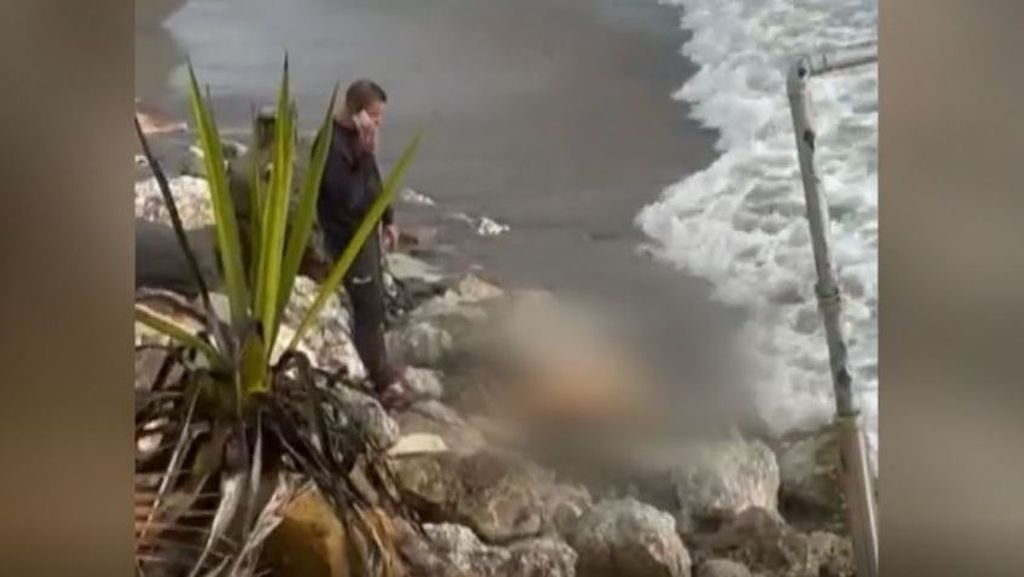 Hallan el cuerpo mutilado de una mujer flotando en una playa de Marbella: será muy difícil su identificación