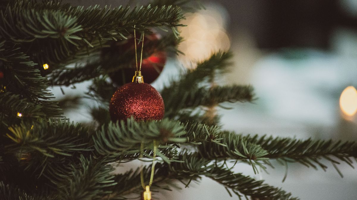 ¿Qué hacer con el árbol de Navidad tras quitarlo?