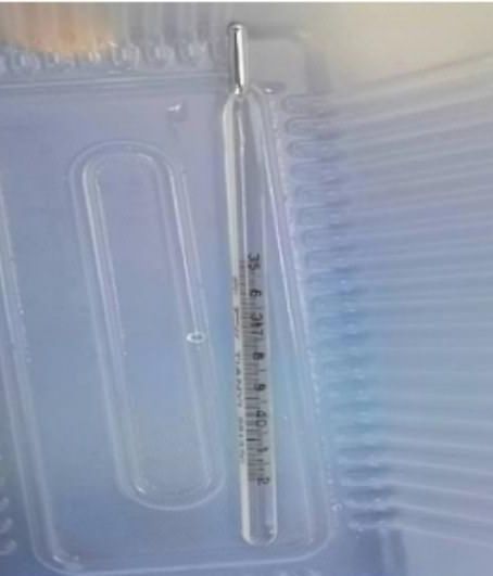 Termómetro introducido