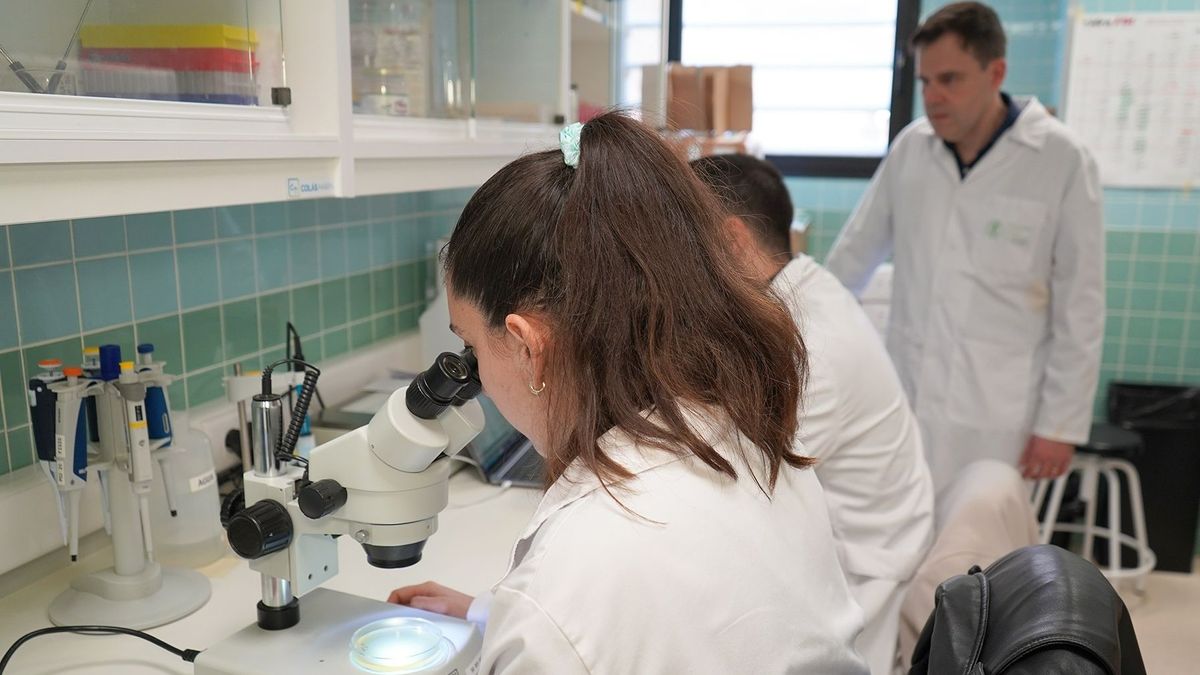 Científicos españoles desarrollan un pintalabios que impide la propagación de virus, bacterias y hongos