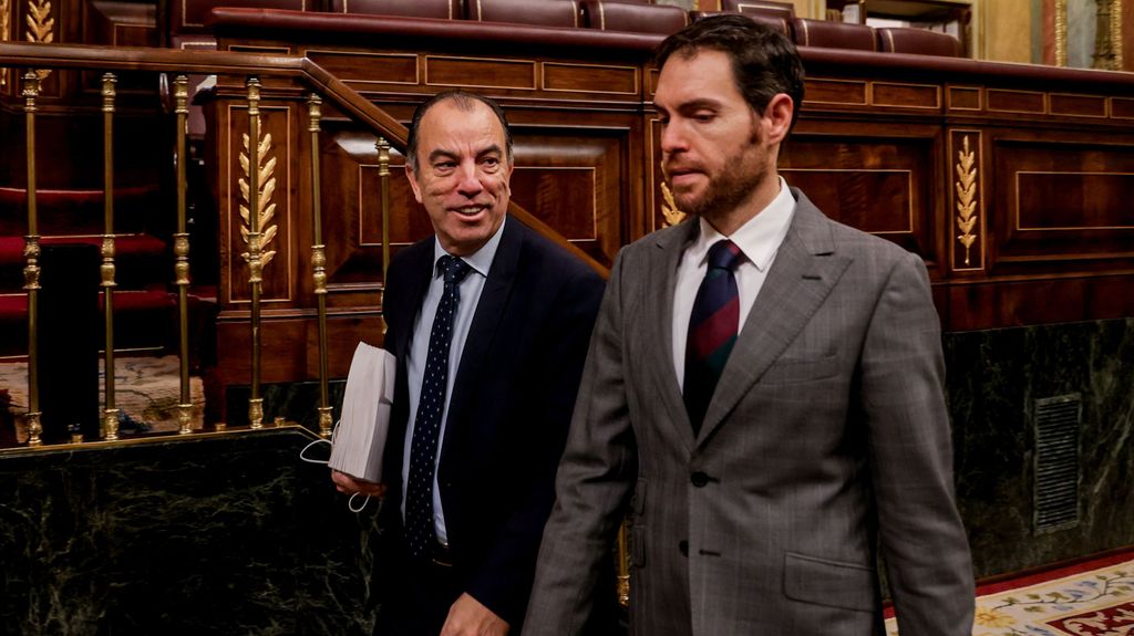 Los diputados expulsados de UPN, Carlos García Adanero y Sergio Sayas, en el Congreso