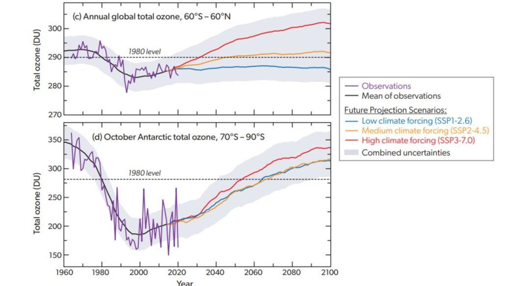 Tendencias y previsiones de la capa de ozono