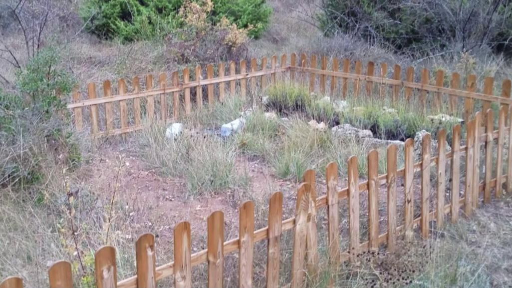 Flores de lavanda en la finca de Pontons.