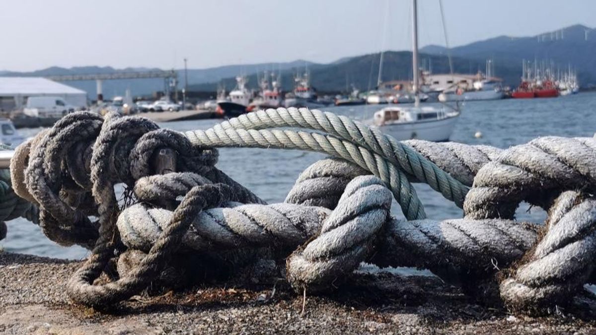 Programa para reducir el impacto de los aparejos de pesca Programa para reducir el impacto de los aparejos de pesca