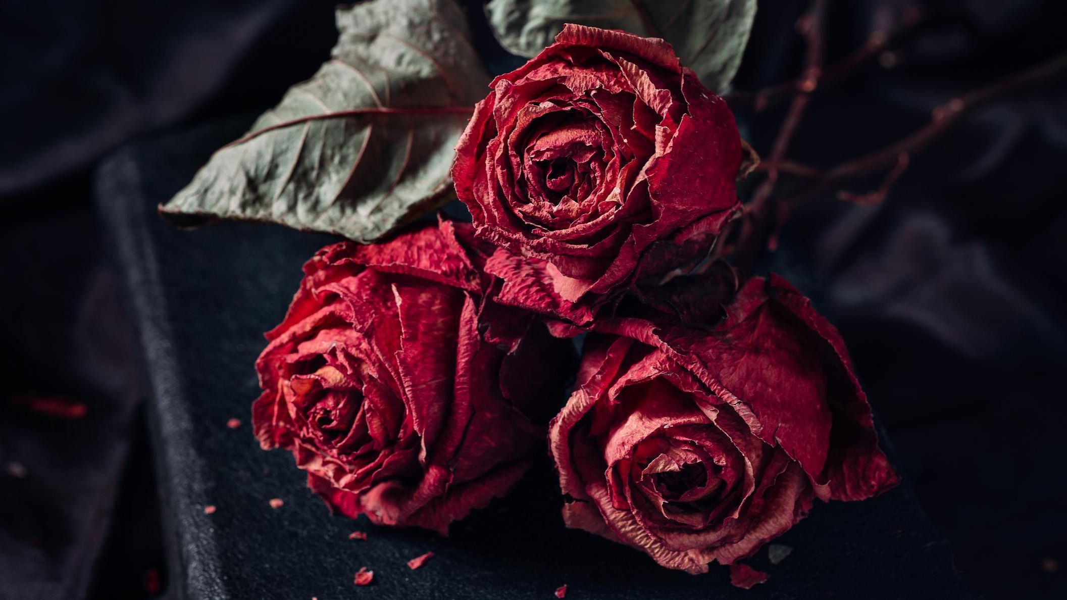 Una buena idea será secar las rosas en el microondas.