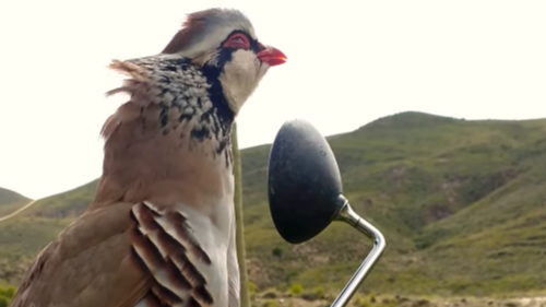 Captura de pantalla 2023 01 13 a las 17.54.09