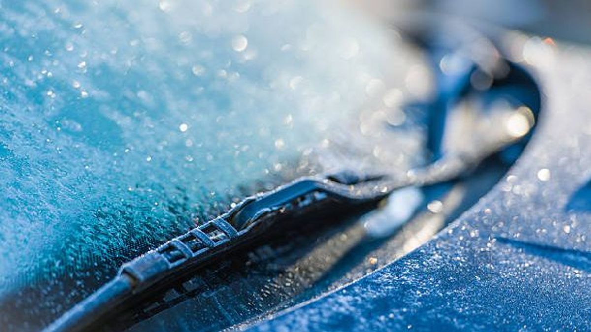 La escarcha se origina cuando el vapor de agua condensado se congela en alguna superficie La escarcha se origina cuando el vapor de agua condensado se congela en alguna superficie