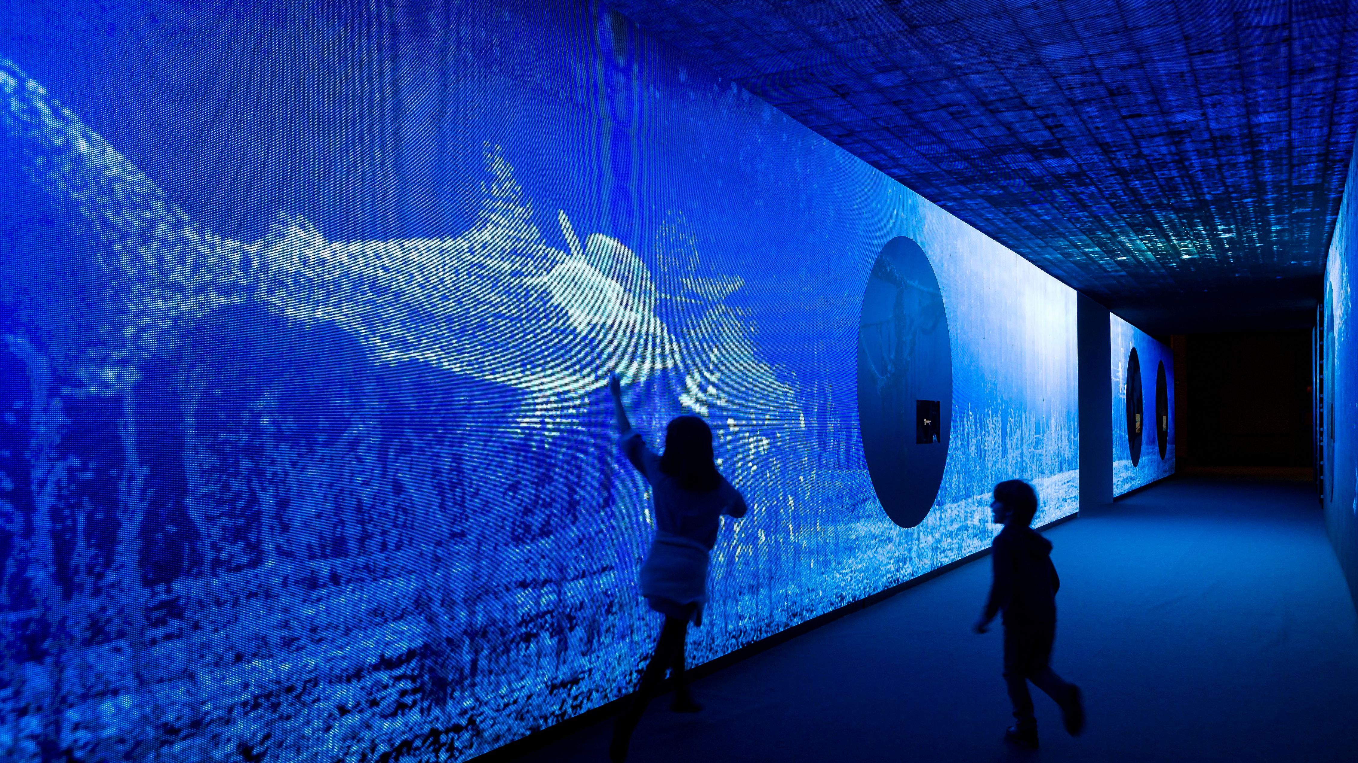 Somos Agua Fundacion Canal 29