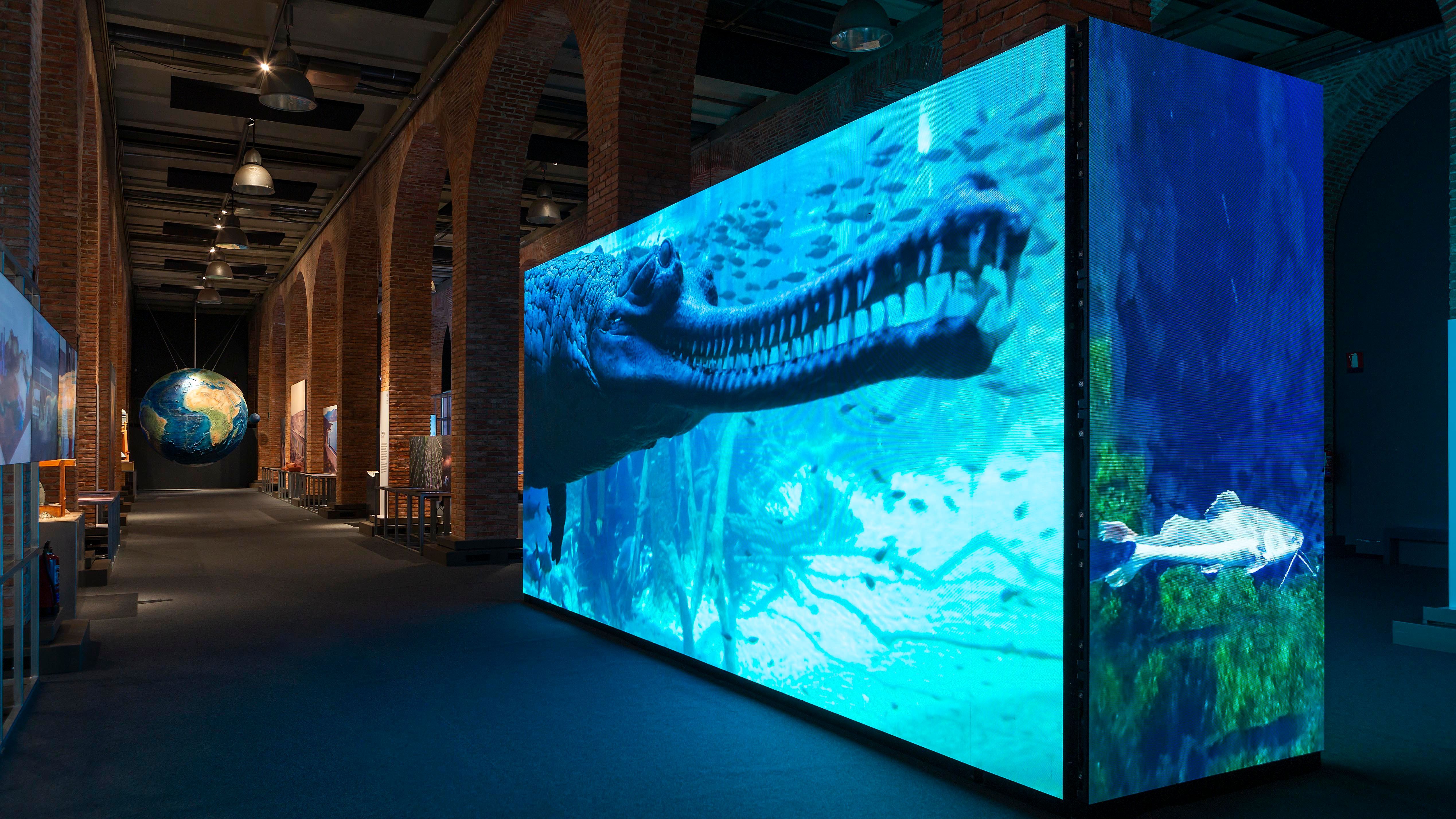 Somos Agua Fundacion Canal 7