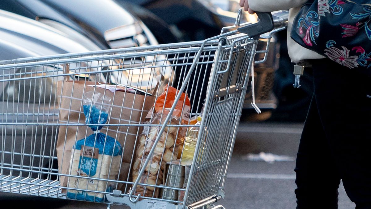 EuropaPress 4890276 mujer sale supermercado carro compra 27 diciembre 2022 mejorada campo EuropaPress 4890276 mujer sale supermercado carro compra 27 diciembre 2022 mejorada campo
