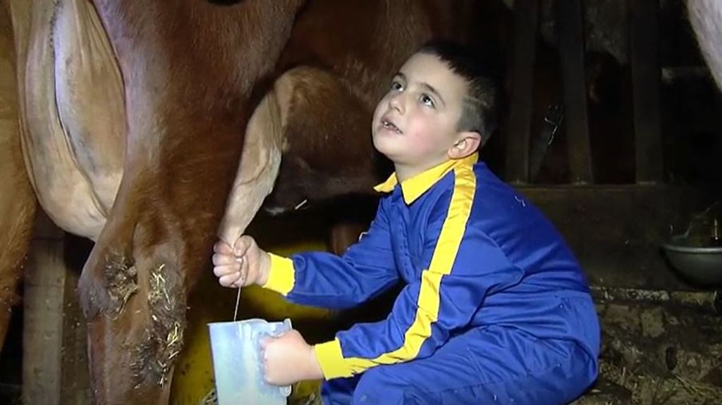 El niño que solo piensa en ser ganadero y, con 6 años, ya 'trabaja' en su granja
