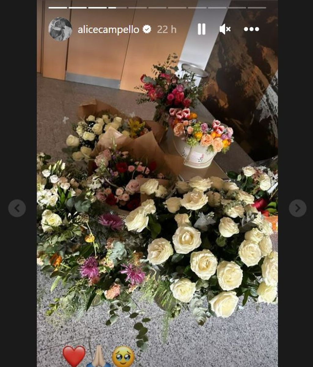 Las flores que ha recibido Alice Campello