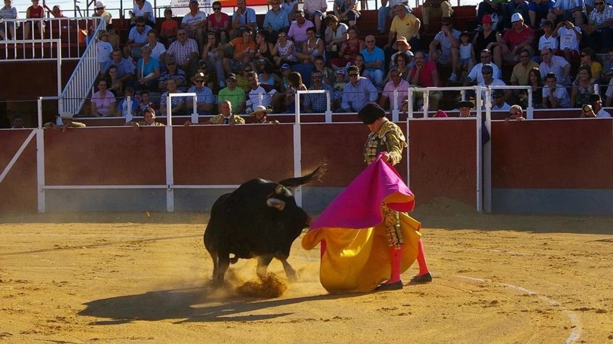 Capea de toros (Archivo) Capea de toros (Archivo)
