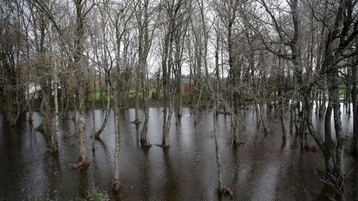Imagen de archivo del río Miño desbordado a su paso por Castro de Rei, en Lugo. Imagen de archivo del río Miño desbordado a su paso por Castro de Rei, en Lugo.