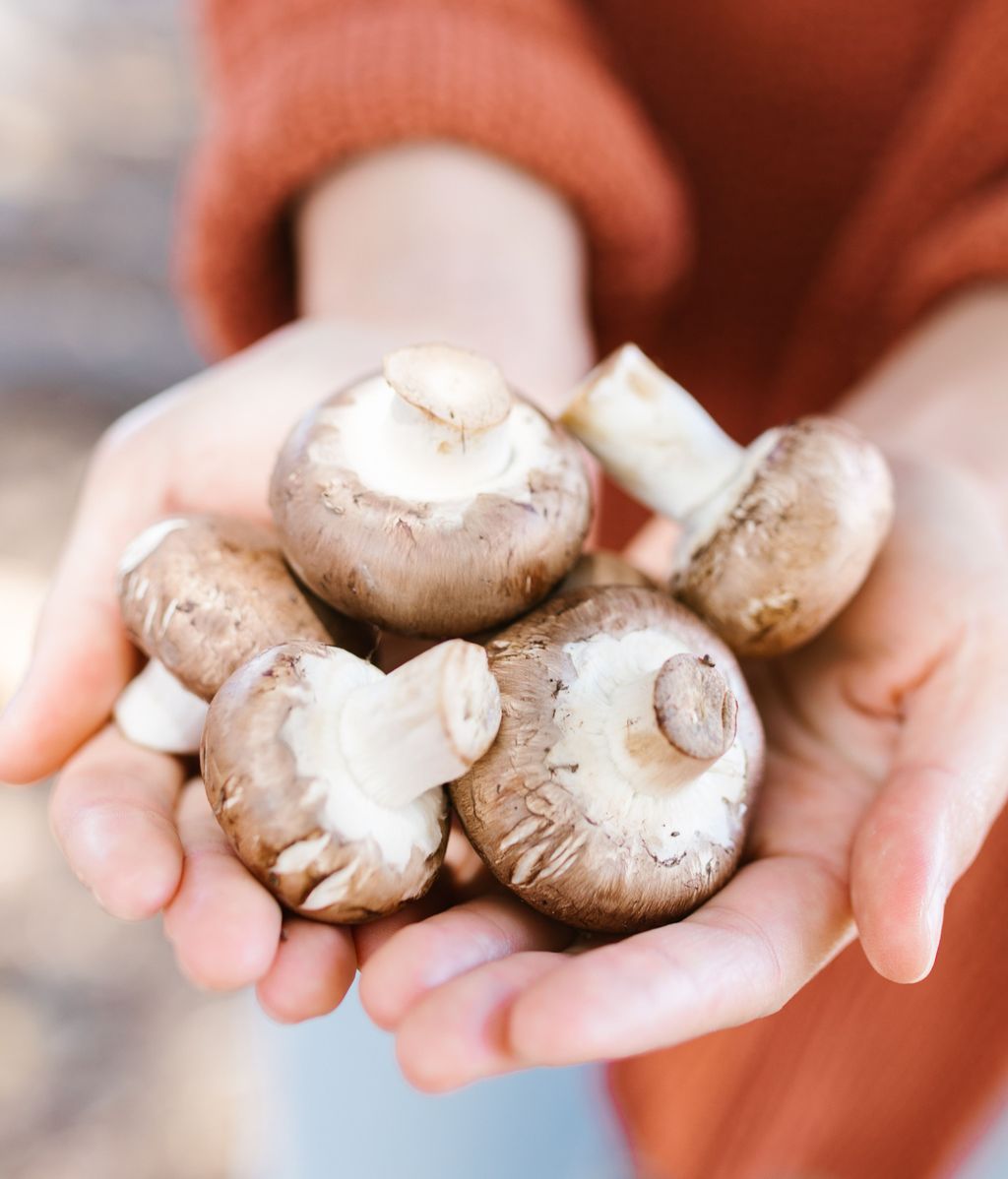 Las setas transforman los rayos ultravioletas en vitamina D. FUENTE: Pexels