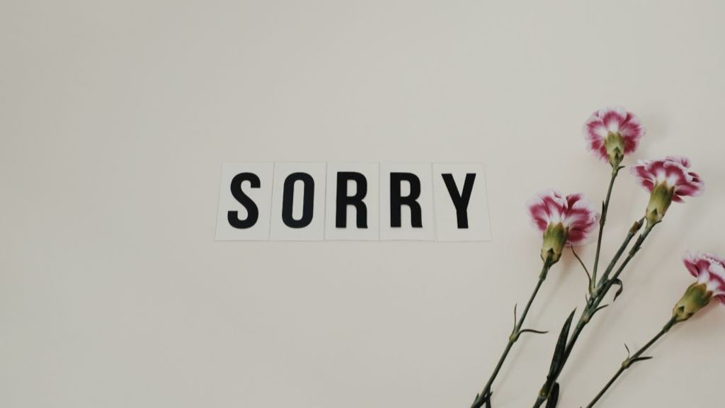 Las seis claves de la disculpa perfecta