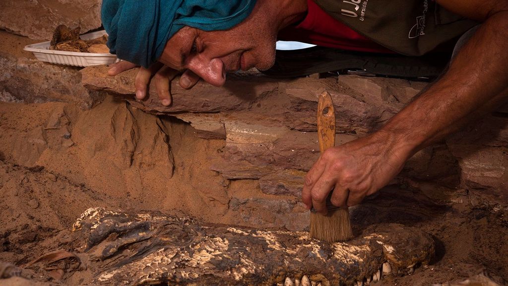 Arqueólogos de Jaén descubren una tumba egipcia “intacta” con 10 momias de cocodrilos