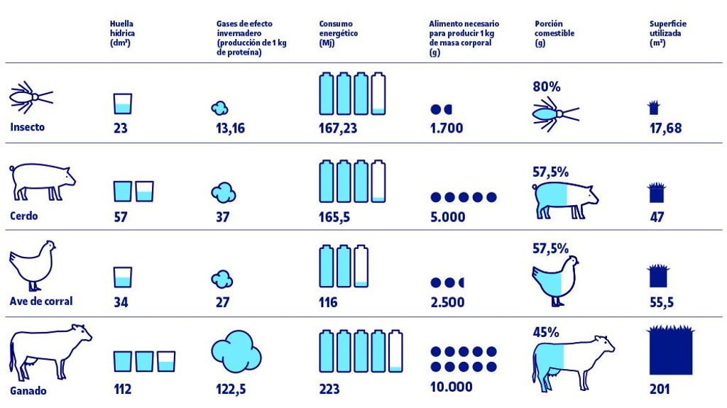 Huella ambiental de los insectos vs. la carne