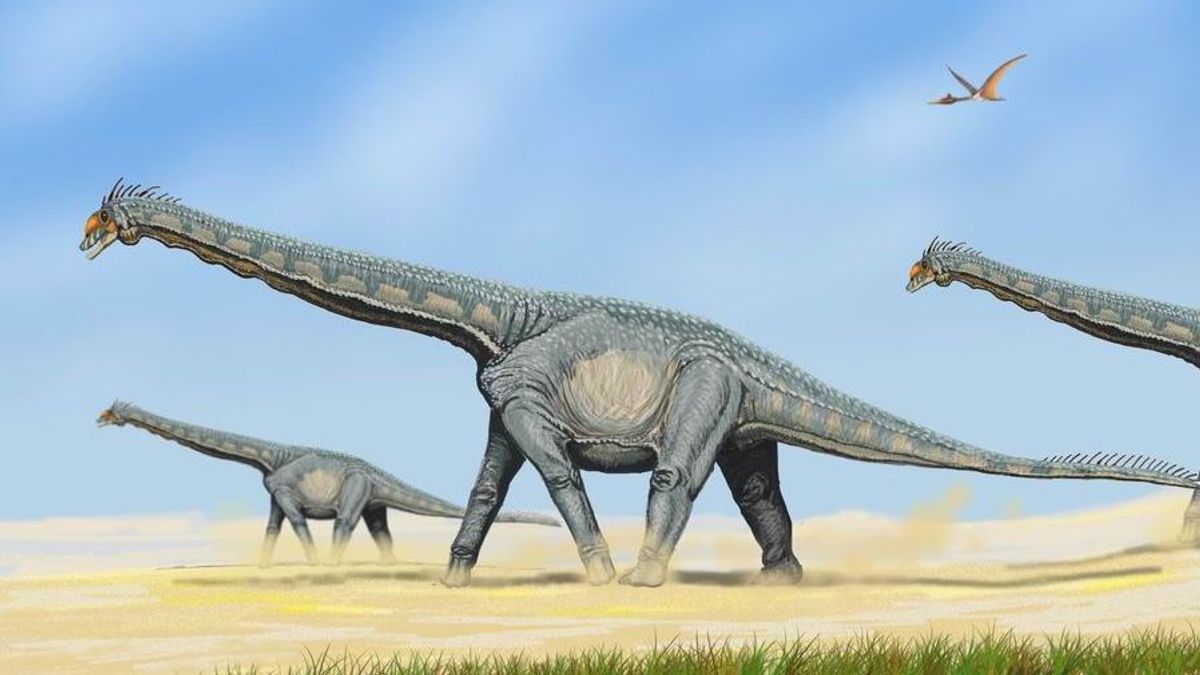 Titanosaurios