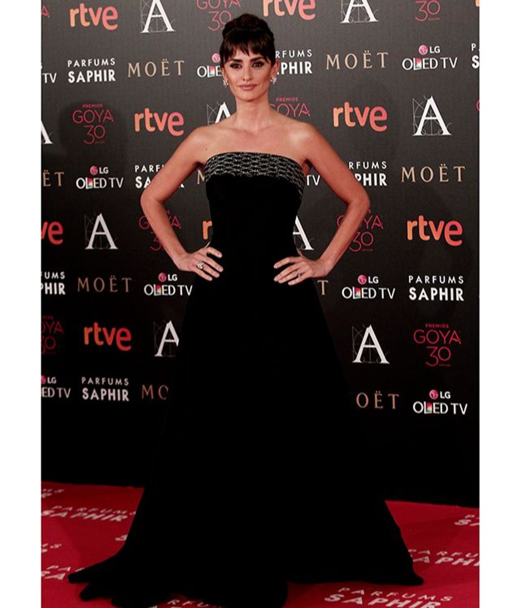 ALFOMBRA ROJA DE LOS PREMIOS GOYA