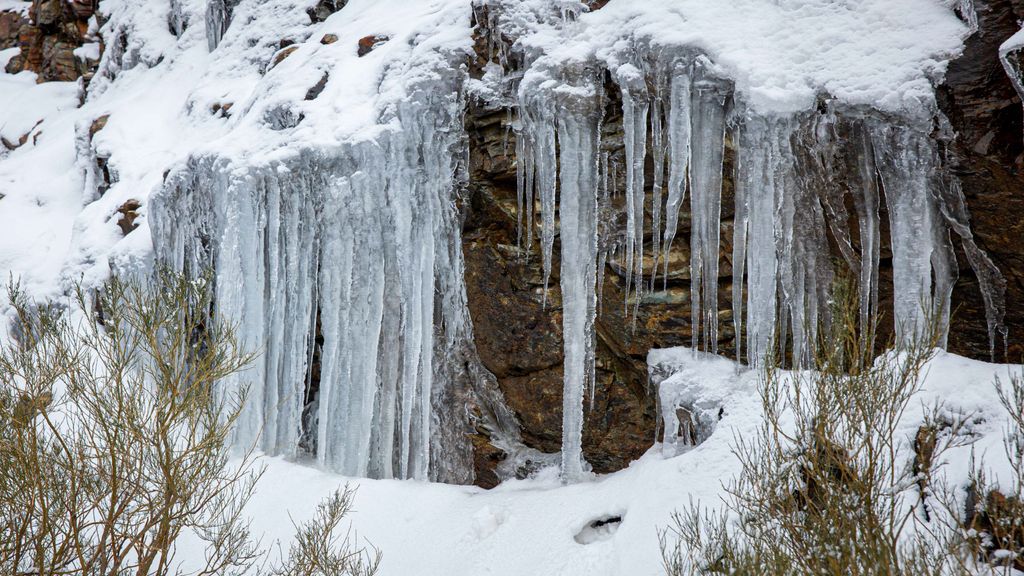 Alerta por frío: ¿Cuándo subirán las temperaturas?