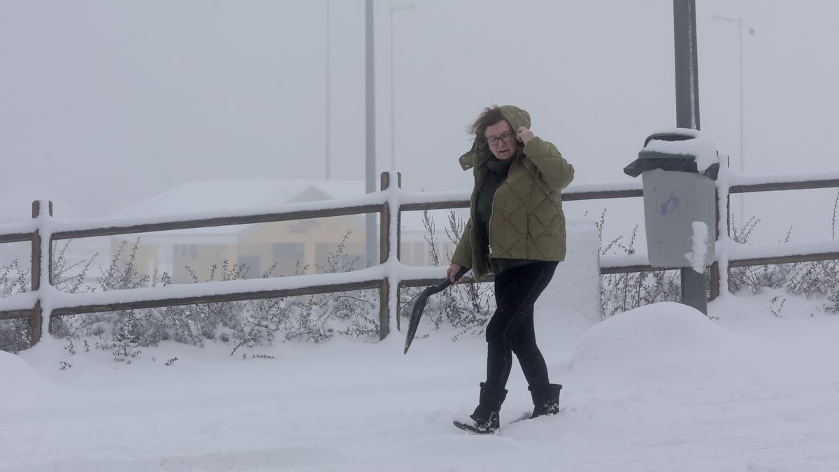 Nieve
