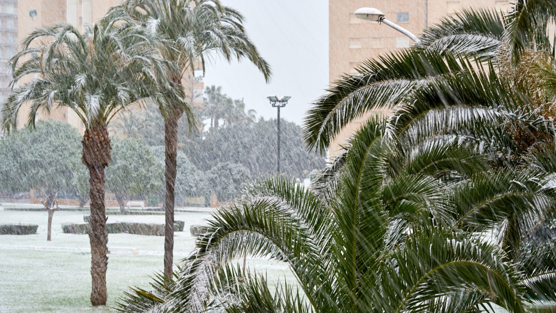 Alicante no se libra del frío y la nieve: enero se despide blanco