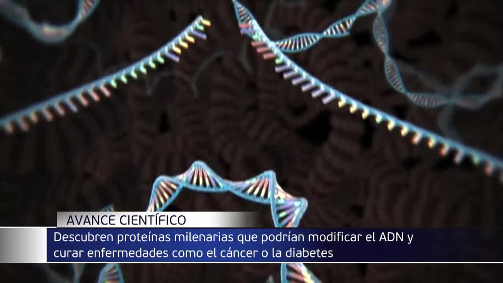 Nuevo avance de científicos españoles con proteínas milenarias acercan la cura a enfermedades hereditarias