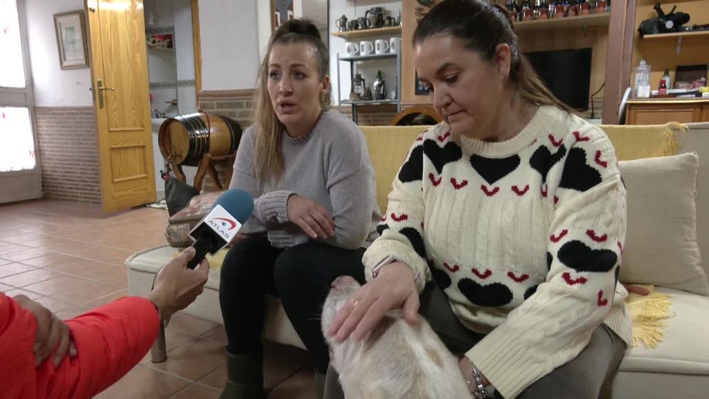 Baltasar, el mastín rescatado atado a un palo en medio de la lluvia, busca ahora un nuevo hogar