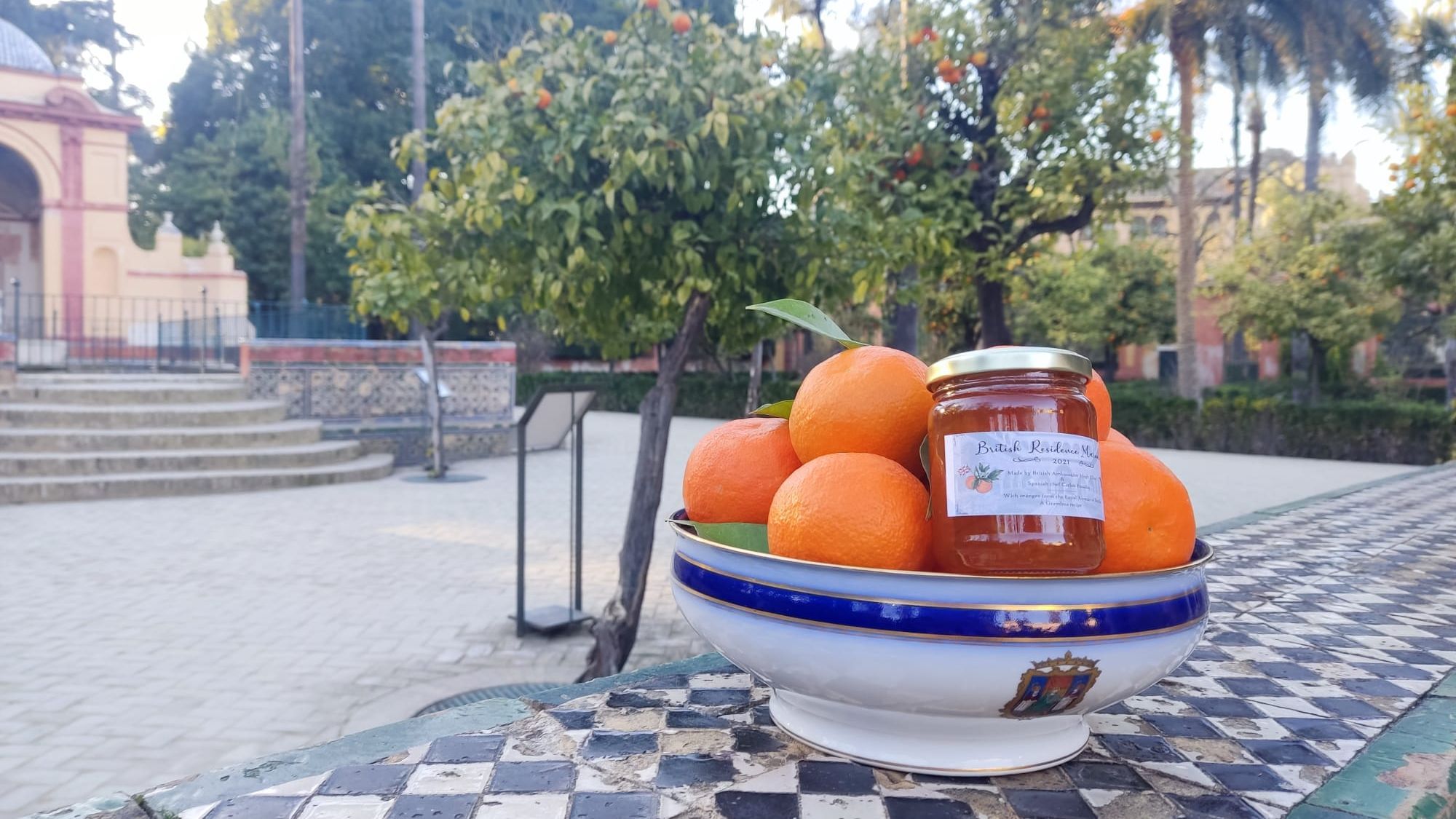 Naranjas recogidas en Sevilla