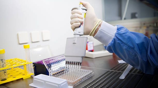 Una reciente investigación descubre hongos ocultos en las células tumorales