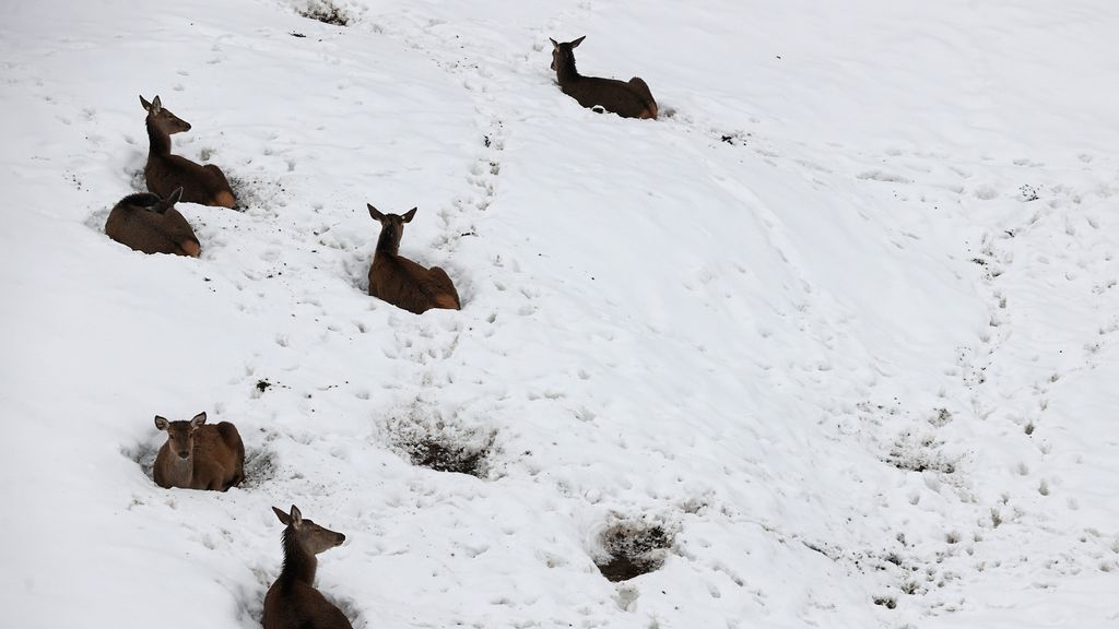 El aire polar causará heladas y nevadas en cotas bajas