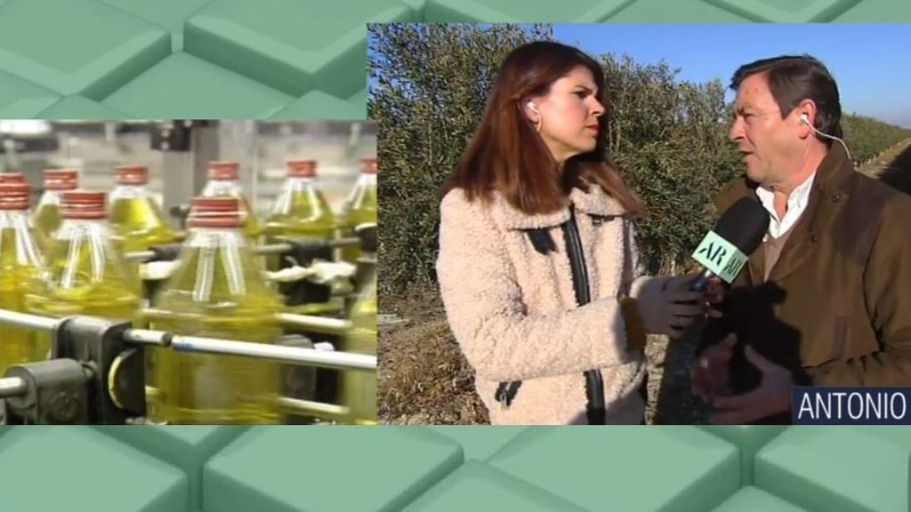 El aceite de oliva se dispara y los empresarios alertan: "La producción está a la mitad"