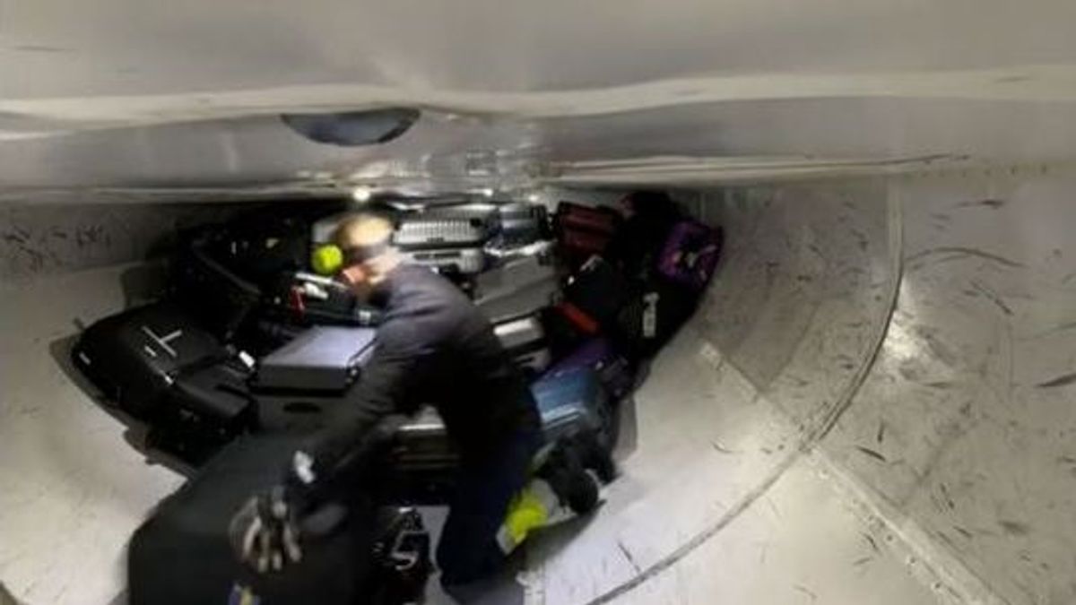Se hace viral un vídeo que muestra cómo van las maletas en la bodega de un avión