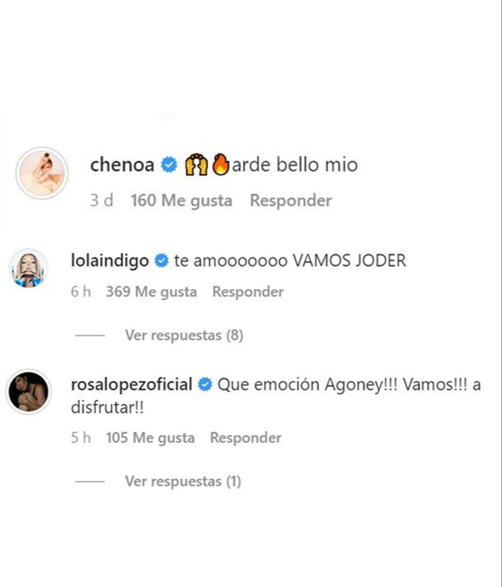 Los mensajes que Chenoa, Rosa López y Agoney han enviado a Agoney